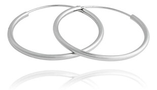JVD Нестареющие серебряные круглые серьги SVLE0208XD500 sJV0650-3 цена и информация | Серьги | kaup24.ee