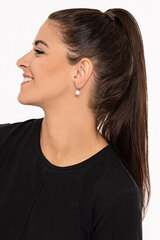 Hõbedased kõrvarõngad naistele JVD SVLE0476XD2P1 hind ja info | Kõrvarõngad | kaup24.ee