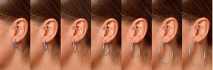 Hõbedased kõrvarõngad naistele Brilio Silver EA020 sBS0966-35 hind ja info | Kõrvarõngad | kaup24.ee