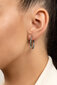 Hõbedased kõrvarõngad naistele Brilio Silver EA16W sBS1339-25 цена и информация | Kõrvarõngad | kaup24.ee