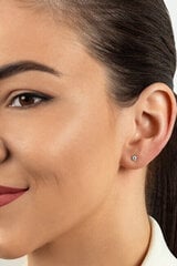 Kuldsed kõrvarõngad naistele Brilio EA519 / 20/21 / 22YAU sBR2085-4 hind ja info | Kõrvarõngad | kaup24.ee