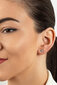 Kuldsed kõrvarõngad naistele Brilio EA519 / 20/21 / 22WAU sBR2084-6 цена и информация | Kõrvarõngad | kaup24.ee