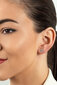Kuldsed kõrvarõngad naistele Brilio EA519 / 20/21 / 22WAU sBR2084-6 цена и информация | Kõrvarõngad | kaup24.ee