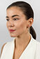 Hõbedased kõrvarõngad naistele Brilio Silver EA69 sBS2690-2 hind ja info | Kõrvarõngad | kaup24.ee