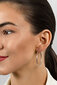 Hõbedased kõrvarõngad naistele Brilio Silver EA69 sBS2690-2 hind ja info | Kõrvarõngad | kaup24.ee