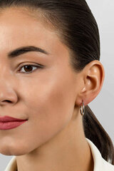Kullatud kõrvarõngad naistele Brilio Silver EA69Y sBS2691-2 hind ja info | Kõrvarõngad | kaup24.ee