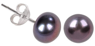 Hõbedased kõrvarõngad naistele JwL Luxury Pearls sJL0028 hind ja info | Kõrvarõngad | kaup24.ee