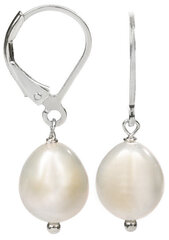 Hõbedased kõrvarõngad naistele JwL Luxury Pearls JL0148 hind ja info | Kõrvarõngad | kaup24.ee