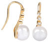 Hõbedased kõrvarõngad naistele JwL Luxury Pearls sJL0411 hind ja info | Kõrvarõngad | kaup24.ee