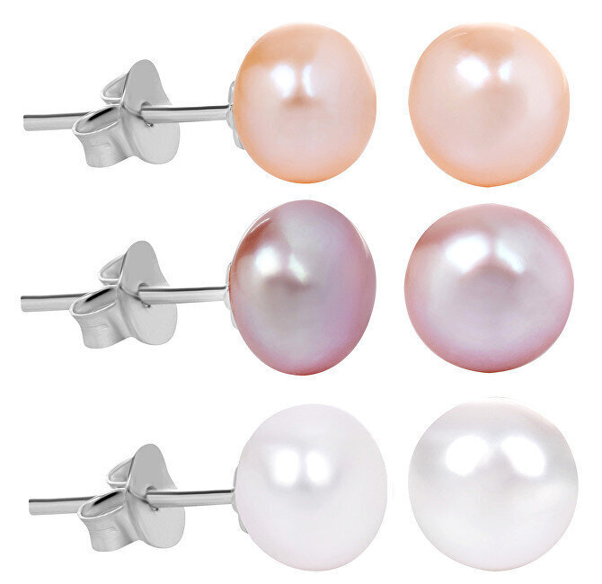 Hõbedased kõrvarõngad naistele JwL Luxury Pearls JL0426 sJL0426 hind ja info | Kõrvarõngad | kaup24.ee