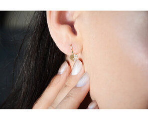 Kuldsed kõrvarõngad naistele Brilio 239 001 00880 07 sBR1335 hind ja info | Kõrvarõngad | kaup24.ee