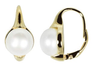 JwL Luxury Pearls Позолоченные серьги с настоящим жемчугом JL0532 sJL0532 цена и информация | Серьги | kaup24.ee