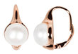 Hõbedased kõrvarõngad naistele JwL Luxury Pearls JL0533 sJL0533 hind ja info | Kõrvarõngad | kaup24.ee