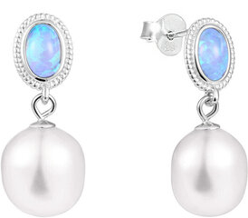 Hõbedased kõrvarõngad naistele JwL Luxury Pearls JL0583 sJL0583 цена и информация | Серьги | kaup24.ee