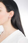 Terasest Kõrvarõngad naistele S`Agapõ Write SWT22 sSA0704 hind ja info | Kõrvarõngad | kaup24.ee