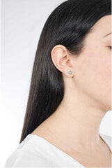 Terasest Kõrvarõngad naistele S`Agapõ Write SWT22 sSA0704 hind ja info | Kõrvarõngad | kaup24.ee
