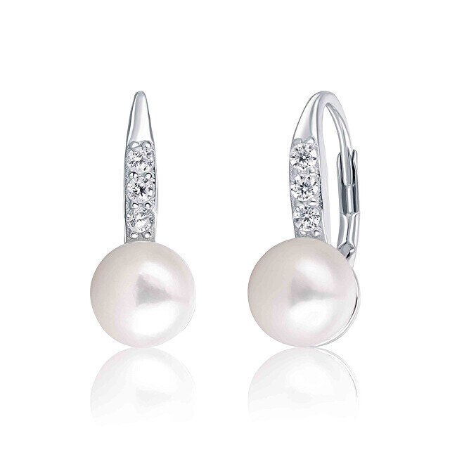 Terasest Kõrvarõngad naistele JwL Luxury Pearls JL0601 sJL0601 цена и информация | Kõrvarõngad | kaup24.ee