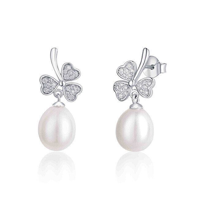 Terasest Kõrvarõngad naistele JwL Luxury Pearls JL0618 sJL0618 цена и информация | Kõrvarõngad | kaup24.ee