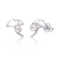Hõbedased kõrvarõngad naistele JwL Luxury Pearls JL0619 sJL0619 цена и информация | Серьги | kaup24.ee