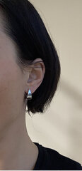Hõbedased kõrvarõngad naistele JVD SVLE0647XH20000 sJV0597 hind ja info | Kõrvarõngad | kaup24.ee
