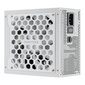 Phanteks Revolt 1000W Platinum hind ja info | Toiteplokid (PSU) | kaup24.ee