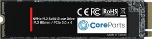 CoreParts CPSSD-M.2NVME-256G hind ja info | Sisemised kõvakettad (HDD, SSD, Hybrid) | kaup24.ee