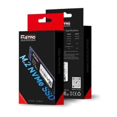 MegaFastro MS150 MS150100TTS цена и информация | Внутренние жёсткие диски (HDD, SSD, Hybrid) | kaup24.ee