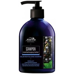 Värskendav šampoon Joanna Professional Rewitalizing Color Boost 500 ml цена и информация | Шампуни | kaup24.ee