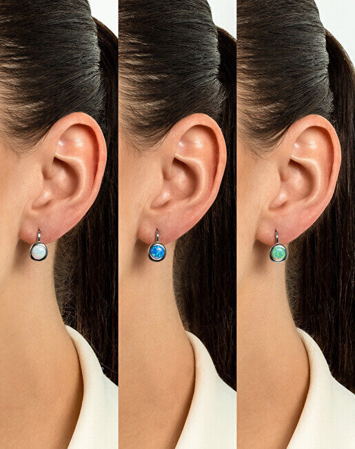 Hõbedased kõrvarõngad naistele Brilio Silver EA376W sBS1890 hind ja info | Kõrvarõngad | kaup24.ee