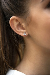 Hõbedased kõrvarõngad naistele JwL Luxury Pearls JL0586 sJL0586 hind ja info | Kõrvarõngad | kaup24.ee