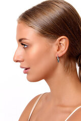 Hõbedased kõrvarõngad naistele Brilio EA020 sBS0966-5 hind ja info | Kõrvarõngad | kaup24.ee