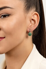 Hõbedased kõrvarõngad naistele Brilio Silver EA254W sBS1379 hind ja info | Kõrvarõngad | kaup24.ee