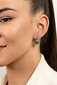 Hõbedased kõrvarõngad naistele Brilio Silver EA254W sBS1379 цена и информация | Kõrvarõngad | kaup24.ee