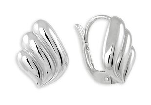 Hõbedased kõrvarõngad naistele Brilio Silver 431 001 01636 04 sBS1613 hind ja info | Kõrvarõngad | kaup24.ee