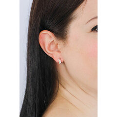 Terasest Kõrvarõngad naistele Daniel Wellington DW00400310 sDW0060 hind ja info | Kõrvarõngad | kaup24.ee