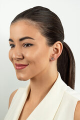 Kuldsed kõrvarõngad naistele Brilio EA525WAU sBR2091 hind ja info | Kõrvarõngad | kaup24.ee