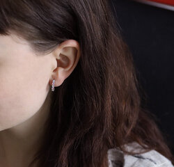 Kõrvarõngad naistele Beneto AGUC1536 sBE1893 hind ja info | Kõrvarõngad | kaup24.ee