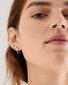 Kullatud Kõrvarõngad naistele Rosato Allegra Star RZO065 sRO1447 hind ja info | Kõrvarõngad | kaup24.ee