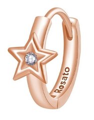 Rosato Одиночные серьги из бронзы Storie Allegra Star RZO065 sRO1447 цена и информация | Серьги | kaup24.ee