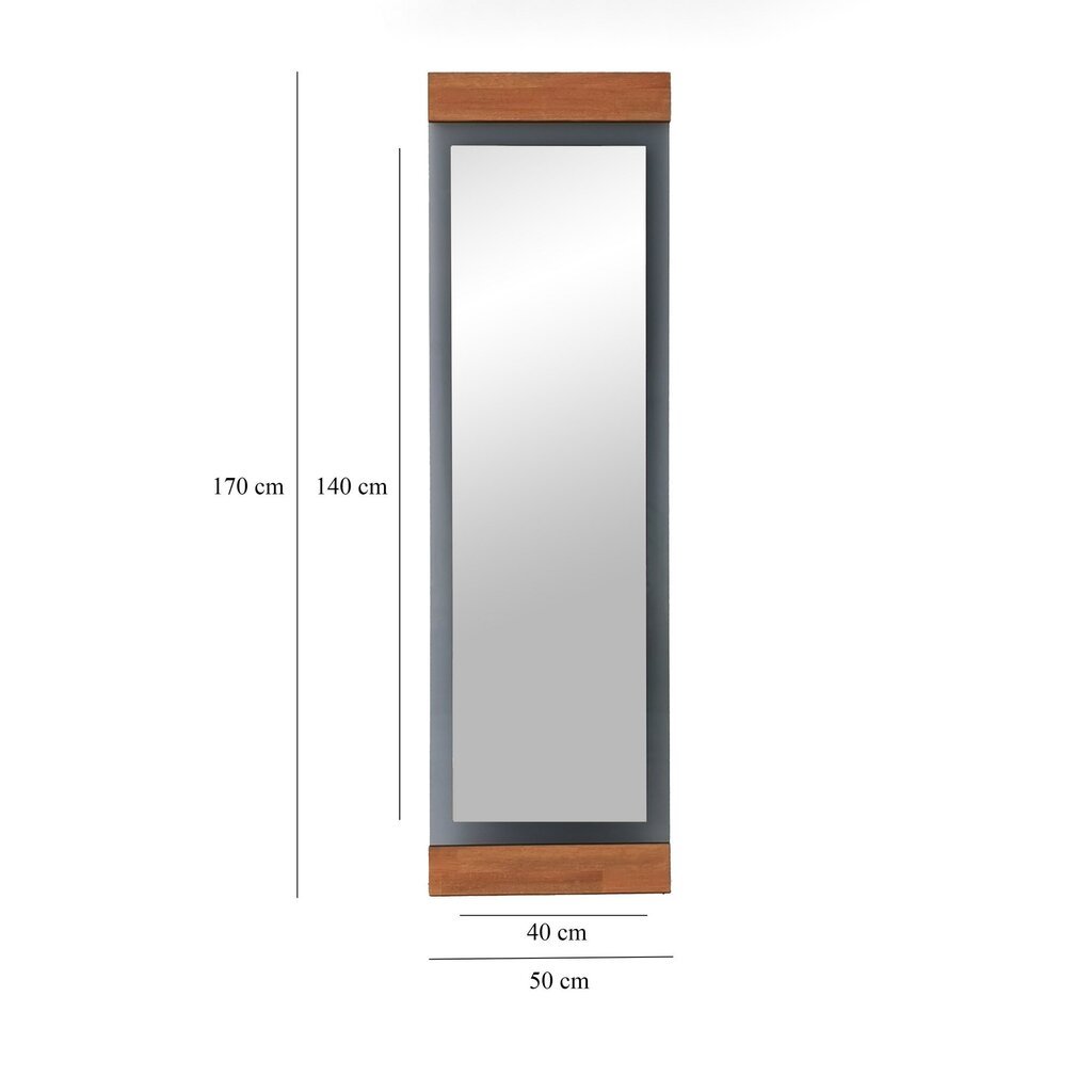 Peegel Asir, 50x170x3cm, hall/pruun hind ja info | Vannitoa peeglid | kaup24.ee