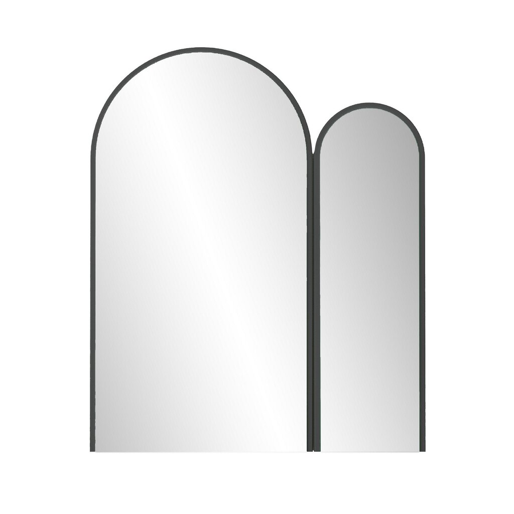 Peegel Asir, 20x60x73cm, must hind ja info | Vannitoa peeglid | kaup24.ee