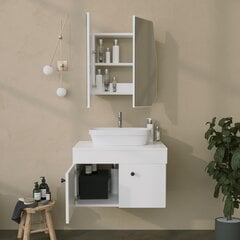 Vannitoa kapp Asir, 12x45x50cm, valge цена и информация | Шкафчики для ванной | kaup24.ee