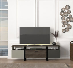 Tv alus Asir, 150x46,2x31,5cm, pruun/hall hind ja info | TV alused | kaup24.ee