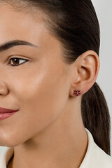Hõbedased kõrvarõngad naistele Brilio Silver EA704WR sBS2904 цена и информация | Серьги | kaup24.ee
