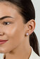 Hõbedased kõrvarõngad naistele Brilio Silver EA709WP sBS2909 hind ja info | Kõrvarõngad | kaup24.ee
