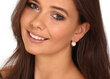 Hõbedased kõrvarõngad naistele JwL Luxury Pearls JL0768 sJL0768 hind ja info | Kõrvarõngad | kaup24.ee