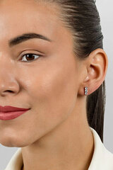 Kõrvarõngad tsirkooniumiga naistele Brilio Silver EA605R sBS2781 hind ja info | Kõrvarõngad | kaup24.ee