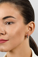 Hõbedased kõrvarõngad naistele Brilio Silver EA678WBC sBS2540 hind ja info | Kõrvarõngad | kaup24.ee