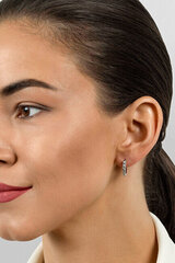 Kõrvarõngad naistele Brilio Silver EA678Y sBS2542 hind ja info | Kõrvarõngad | kaup24.ee
