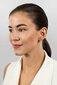 Tsirkooniga hõbekõrvarõngad naistele Brilio Silver EA684W sBS2547 hind ja info | Kõrvarõngad | kaup24.ee